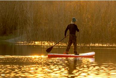 ### Популярность стоячего паддлбординга (SUP)